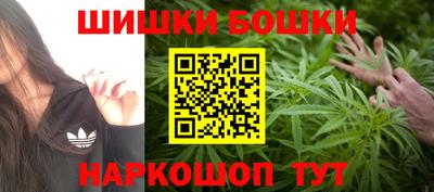 дживик Аша