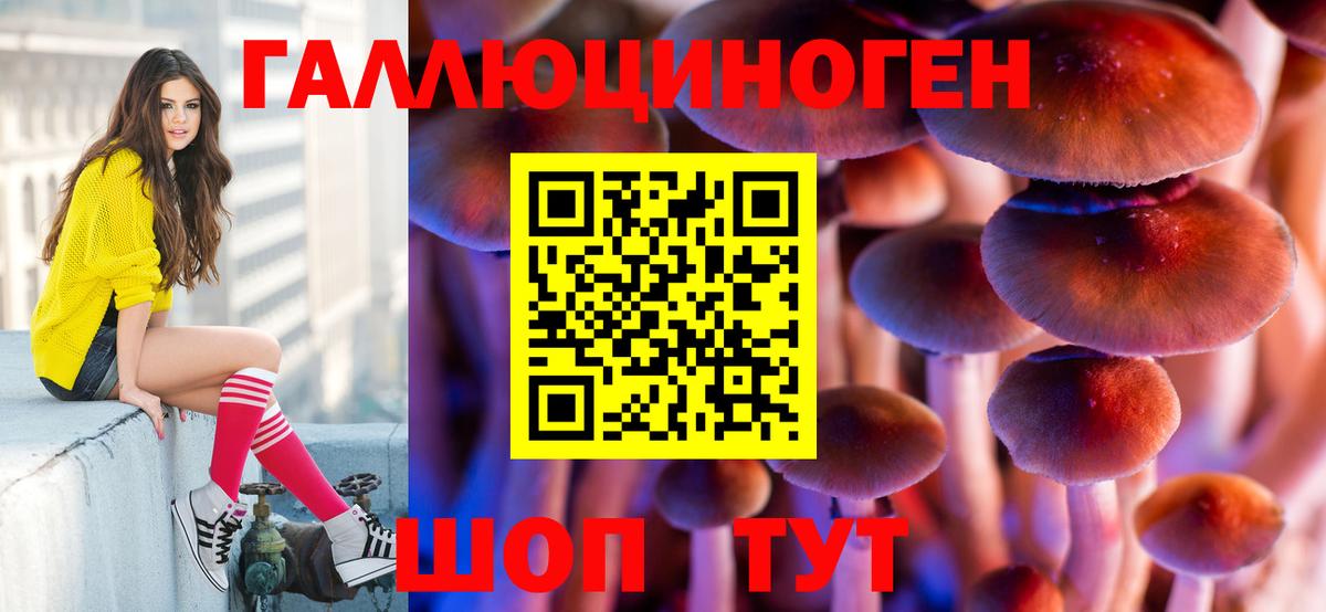 Галлюциногенные грибы Psilocybe Саратов