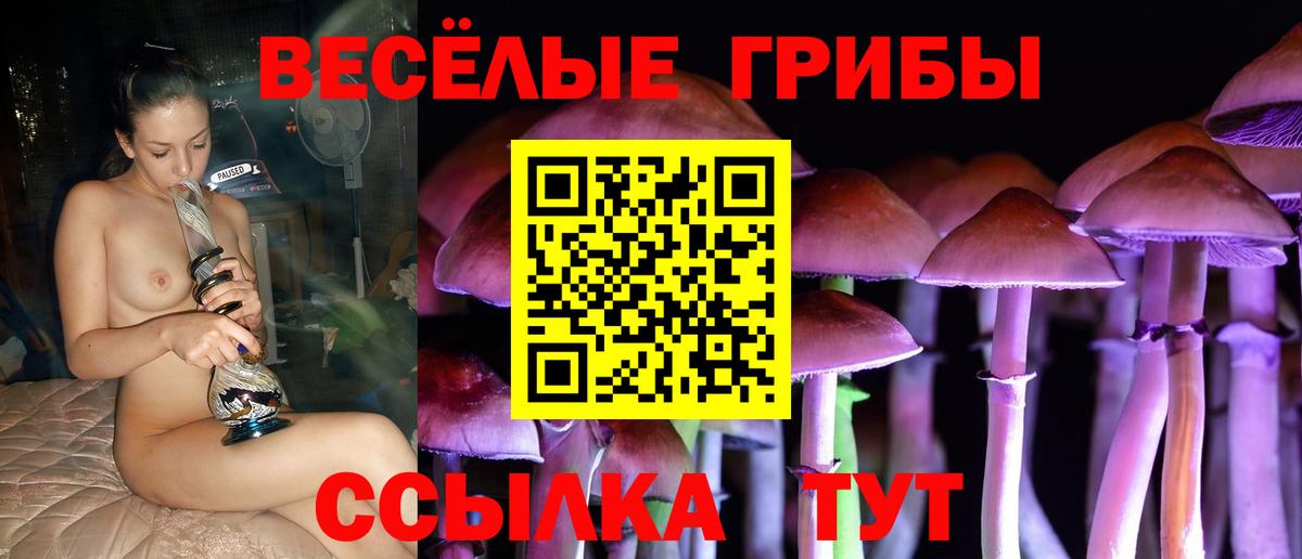Галлюциногенные грибы Magic Shrooms  Псилоцибиновые грибы мухоморы  где купить наркотик  Вход с VPN  Саратов 